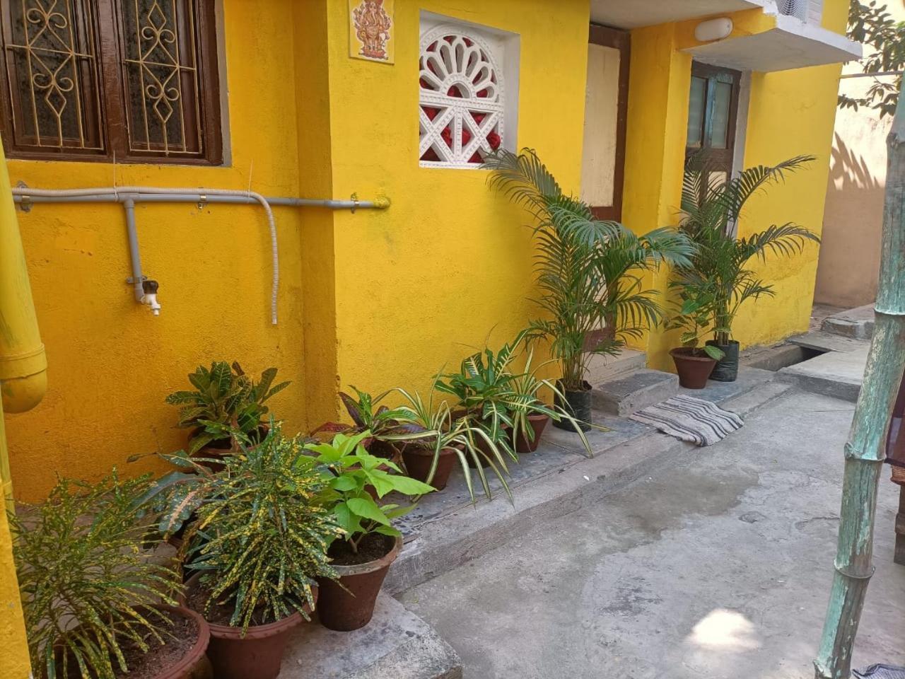 Nks Homestay بونديتْشيري المظهر الخارجي الصورة